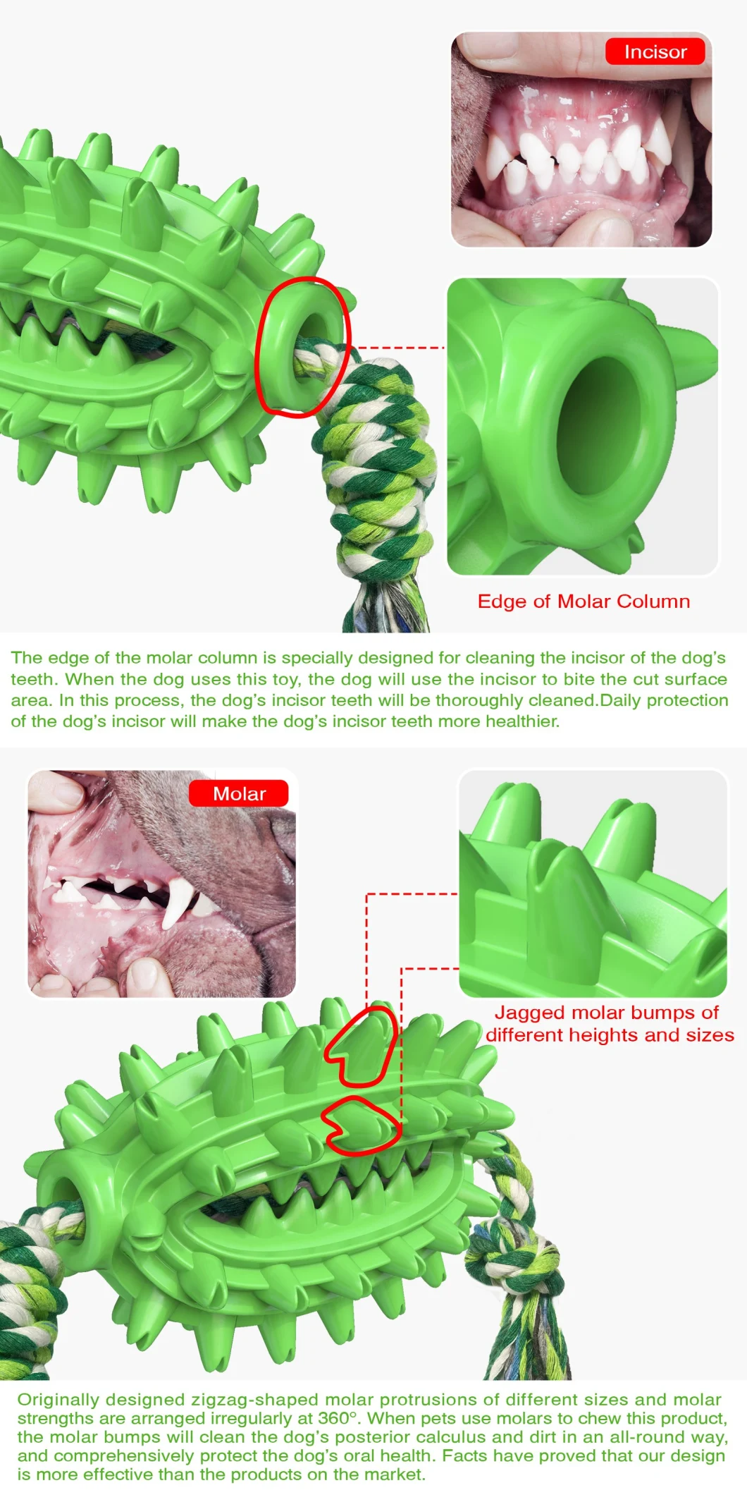 Voovpet Toothbrush Chew Toy for Small Medium Large Dogs, Toys for Boredom Large Medium Dogs, Puppy Teething Toys, Dog Toys Indestructible.